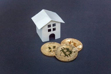 Oyuncak bitcoin siyah arka plan üzerinde ev ve paralar. Cryptocurrency ve koruma kavramı. Bankacılık web ve uluslararası ağ ödeme için elektronik sanal para