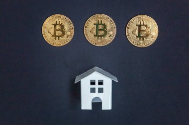 Oyuncak bitcoin siyah arka plan üzerinde ev ve paralar. Cryptocurrency ve koruma kavramı. Bankacılık web ve uluslararası ağ ödeme için elektronik sanal para