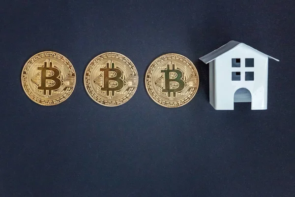 Oyuncak bitcoin siyah arka plan üzerinde ev ve paralar. Cryptocurrency ve koruma kavramı. Bankacılık web ve uluslararası ağ ödeme için elektronik sanal para