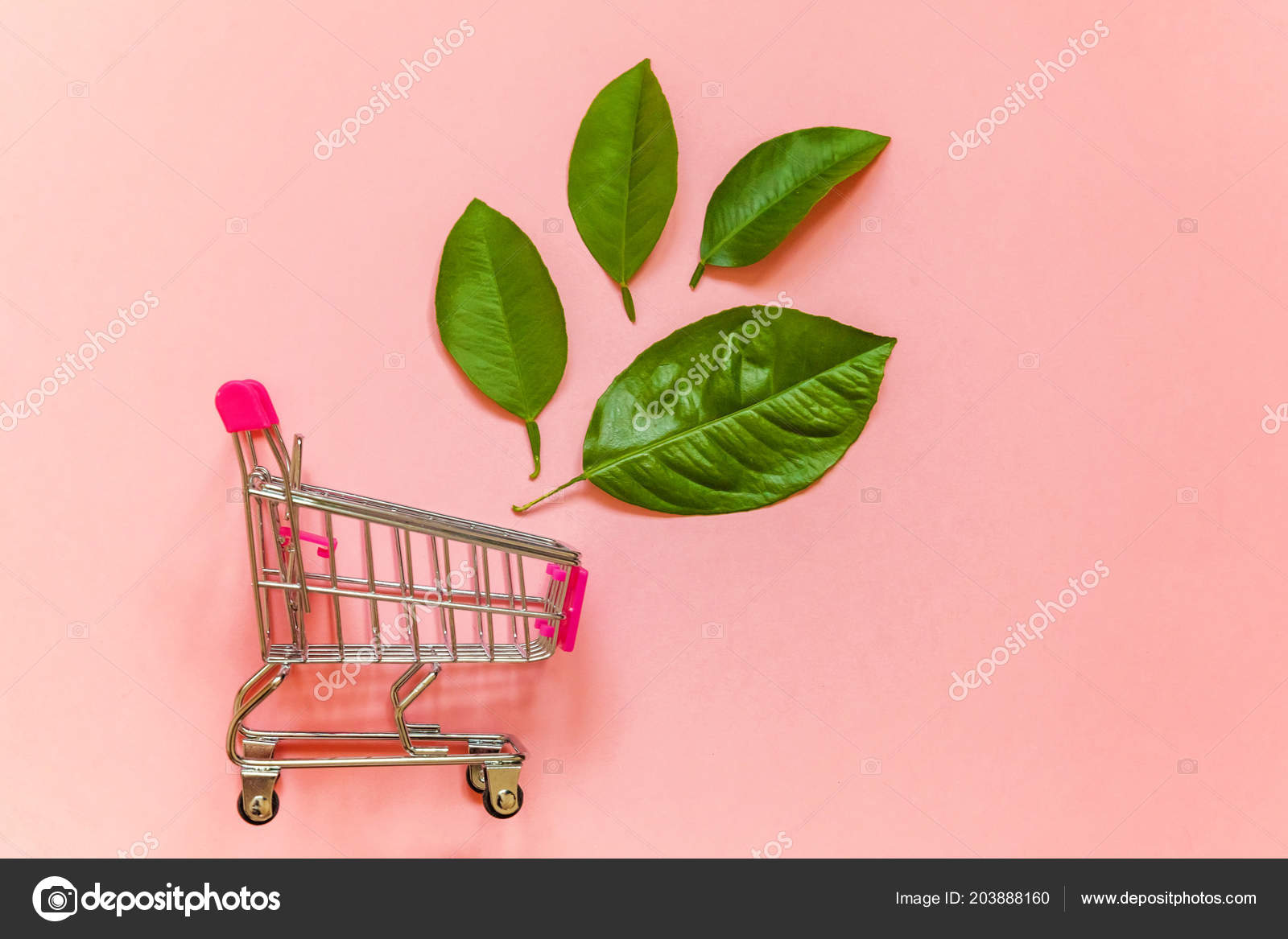 pink shopping trolley toy