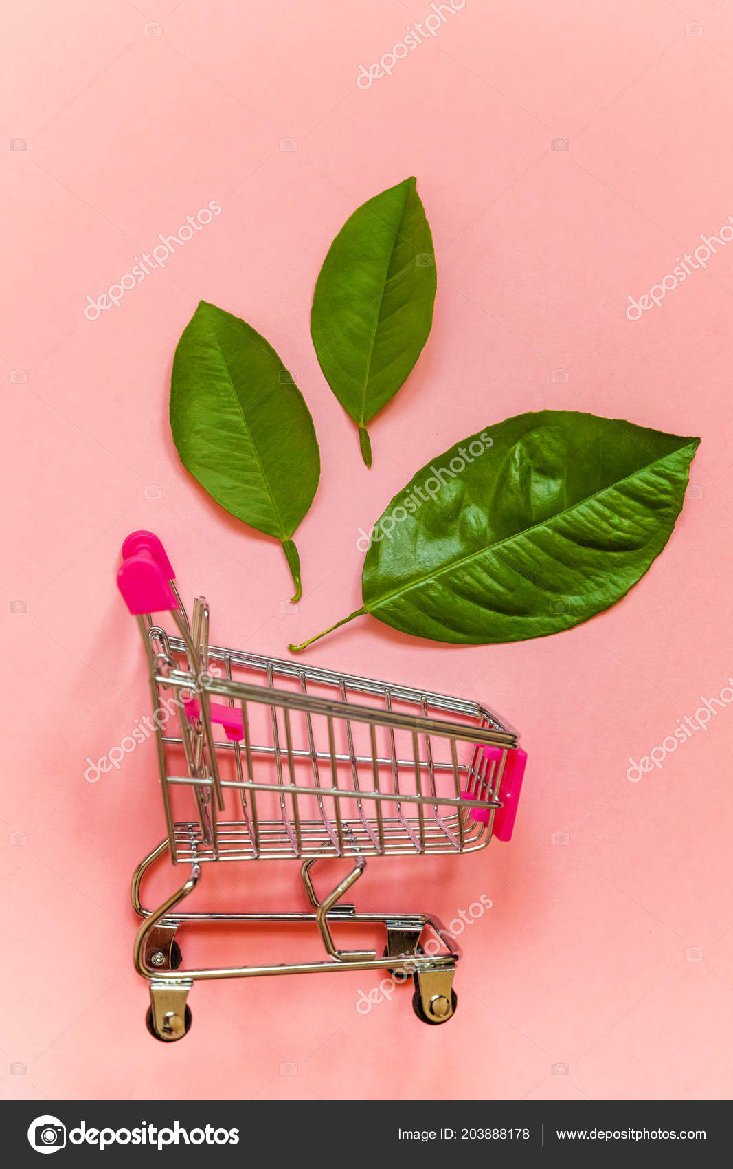 pink shopping trolley toy