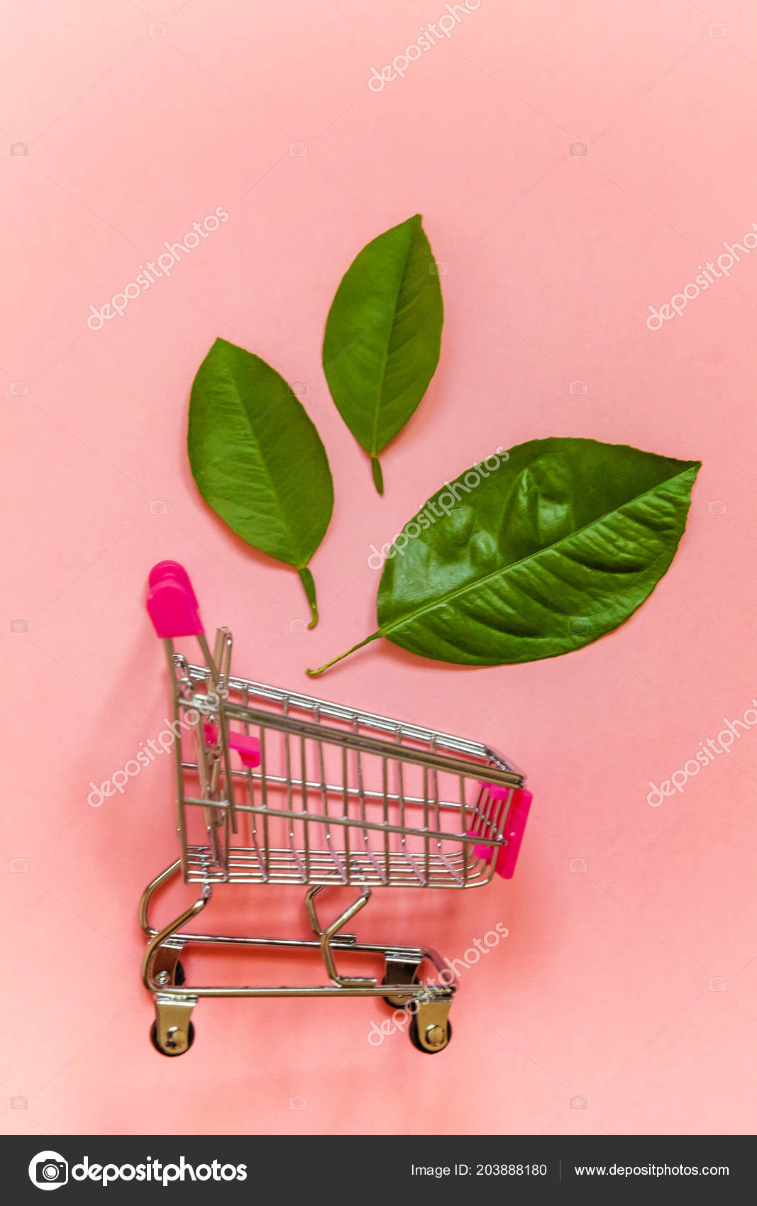 pink shopping trolley toy