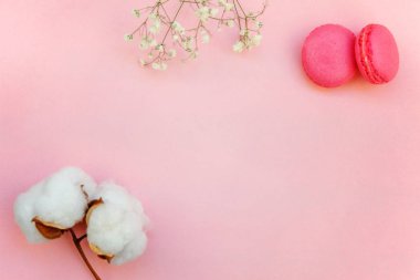 «Ana sayfa» mini pembe macaron veya pamuk çiçek ile acıbadem kurabiyesi Fransız tatlı pasta görünümünü yumuşak tatlı pembe pastel geometrik üzerinde kağıt düz yatıyordu arka plan.