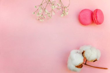 «Ana sayfa» mini pembe macaron veya pamuk çiçek ile acıbadem kurabiyesi Fransız tatlı pasta görünümünü yumuşak tatlı pembe pastel geometrik üzerinde kağıt düz yatıyordu arka plan.