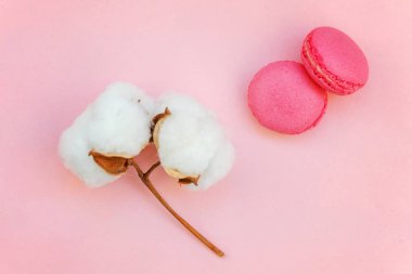 «Ana sayfa» mini pembe macaron veya pamuk çiçek ile acıbadem kurabiyesi Fransız tatlı pasta görünümünü yumuşak tatlı pembe pastel geometrik üzerinde kağıt düz yatıyordu arka plan.