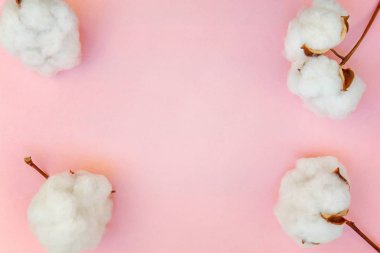 Güzel beyaz pamuklu çiçek pembe pastel renk üzerinde düz kağıt arka plan yattı. Kumaş bez yumuşaklık doğal organik tarım Anti kavramı