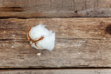 Güzel beyaz pamuklu çiçek rustik eski vintage ahşap düz yatıyordu zemin üzerine. Kumaş bez yumuşaklık doğal organik tarım Anti kavramı