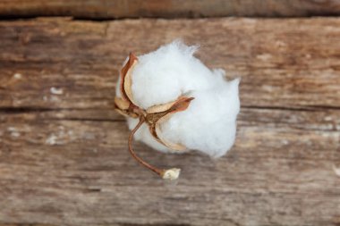 Güzel beyaz pamuklu çiçek rustik eski vintage ahşap düz yatıyordu zemin üzerine. Kumaş bez yumuşaklık doğal organik tarım Anti kavramı