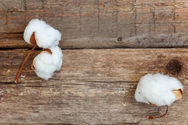 Güzel beyaz pamuklu çiçek rustik eski vintage ahşap düz yatıyordu zemin üzerine. Kumaş bez yumuşaklık doğal organik tarım Anti kavramı