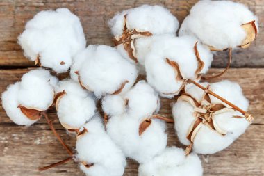 Güzel beyaz pamuklu çiçek rustik eski vintage ahşap düz yatıyordu zemin üzerine. Kumaş bez yumuşaklık doğal organik tarım Anti kavramı