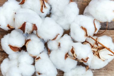 Güzel beyaz pamuklu çiçek rustik eski vintage ahşap düz yatıyordu zemin üzerine. Kumaş bez yumuşaklık doğal organik tarım Anti kavramı