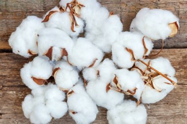 Güzel beyaz pamuklu çiçek rustik eski vintage ahşap düz yatıyordu zemin üzerine. Kumaş bez yumuşaklık doğal organik tarım Anti kavramı