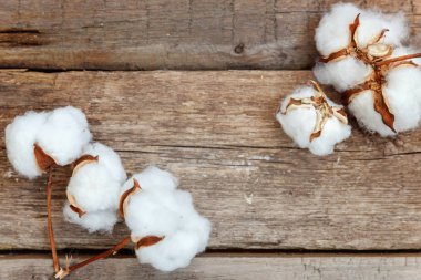 Güzel beyaz pamuklu çiçek rustik eski vintage ahşap düz yatıyordu zemin üzerine. Kumaş bez yumuşaklık doğal organik tarım Anti kavramı