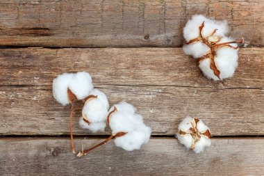 Güzel beyaz pamuklu çiçek rustik eski vintage ahşap düz yatıyordu zemin üzerine. Kumaş bez yumuşaklık doğal organik tarım Anti kavramı