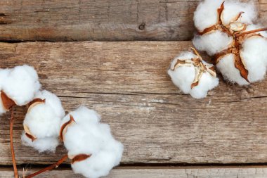 Güzel beyaz pamuklu çiçek rustik eski vintage ahşap düz yatıyordu zemin üzerine. Kumaş bez yumuşaklık doğal organik tarım Anti kavramı