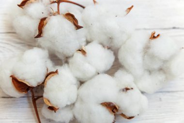 Güzel beyaz pamuklu çiçek rustik eski beyaz ahşap düz yatıyordu arka plan üzerinde. Kumaş bez yumuşaklık doğal organik tarım Anti kavramı