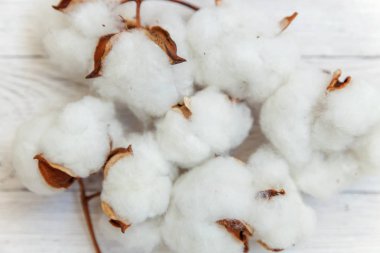 Güzel beyaz pamuklu çiçek rustik eski beyaz ahşap düz yatıyordu arka plan üzerinde. Kumaş bez yumuşaklık doğal organik tarım Anti kavramı