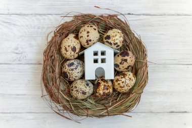 Minyatür beyaz oyuncak model house rustik eski vintage ahşap arka plan üzerinde yumurta yuvada aittir. Eko köyü çevre gayrimenkul ipotek Emlak sigorta rüya ev ekoloji yatırım kavramı