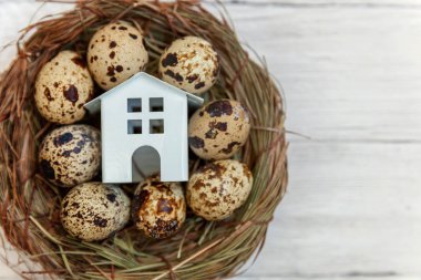 Minyatür beyaz oyuncak model house rustik eski vintage ahşap arka plan üzerinde yumurta yuvada aittir. Eko köyü çevre gayrimenkul ipotek Emlak sigorta rüya ev ekoloji yatırım kavramı