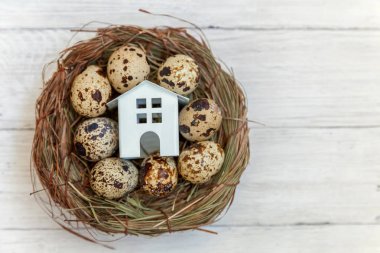 Minyatür beyaz oyuncak model house rustik eski vintage ahşap arka plan üzerinde yumurta yuvada aittir. Eko köyü çevre gayrimenkul ipotek Emlak sigorta rüya ev ekoloji yatırım kavramı