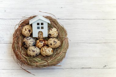 Minyatür beyaz oyuncak model house rustik eski vintage ahşap arka plan üzerinde yumurta yuvada aittir. Eko köyü çevre gayrimenkul ipotek Emlak sigorta rüya ev ekoloji yatırım kavramı