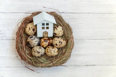 Minyatür beyaz oyuncak model house rustik eski vintage ahşap arka plan üzerinde yumurta yuvada aittir. Eko köyü çevre gayrimenkul ipotek Emlak sigorta rüya ev ekoloji yatırım kavramı