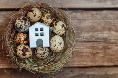 Minyatür beyaz oyuncak model house rustik eski vintage ahşap arka plan üzerinde yumurta yuvada aittir. Eko köyü çevre gayrimenkul ipotek Emlak sigorta rüya ev ekoloji yatırım kavramı