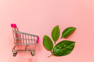 Pembe renkli pastel trendy modern moda zemin üzerine yeşil yaprakları ile küçük alışveriş arabası sepeti oyuncak. Ekoloji çevre ürünleri sağlık gıda vegan vejetaryen kavramı alışveriş