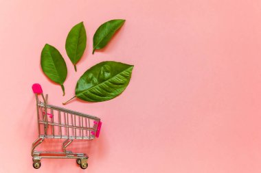 Pembe renkli pastel trendy modern moda zemin üzerine yeşil yaprakları ile küçük alışveriş arabası sepeti oyuncak. Ekoloji çevre ürünleri sağlık gıda vegan vejetaryen kavramı alışveriş