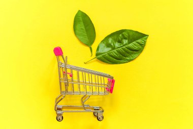 Sarı renkli şık modern moda zemin üzerine yeşil yaprakları ile küçük alışveriş arabası sepeti oyuncak. Ekoloji çevre ürünleri sağlık gıda vegan vejetaryen kavramı alışveriş