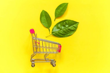 Sarı renkli şık modern moda zemin üzerine yeşil yaprakları ile küçük alışveriş arabası sepeti oyuncak. Ekoloji çevre ürünleri sağlık gıda vegan vejetaryen kavramı alışveriş