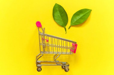 Sarı renkli şık modern moda zemin üzerine yeşil yaprakları ile küçük alışveriş arabası sepeti oyuncak. Ekoloji çevre ürünleri sağlık gıda vegan vejetaryen kavramı alışveriş
