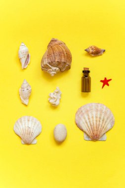 Tropikal arka plan. Deniz kabuklarını ve cam şişe sarı renkli şık modern moda arka plan üzerinde. Tatil seyahat yaz hafta sonu deniz macera seyahat kavramı