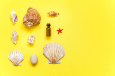 Tropikal arka plan. Deniz kabuklarını ve cam şişe sarı renkli şık modern moda arka plan üzerinde. Tatil seyahat yaz hafta sonu deniz macera seyahat kavramı