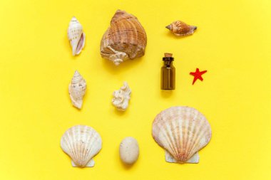 Tropikal arka plan. Deniz kabuklarını ve cam şişe sarı renkli şık modern moda arka plan üzerinde. Tatil seyahat yaz hafta sonu deniz macera seyahat kavramı