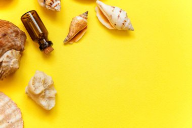 Tropikal arka plan. Deniz kabuklarını ve cam şişe sarı renkli şık modern moda arka plan üzerinde. Tatil seyahat yaz hafta sonu deniz macera seyahat kavramı