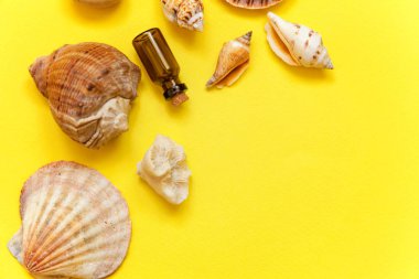 Tropikal arka plan. Deniz kabuklarını ve cam şişe sarı renkli şık modern moda arka plan üzerinde. Tatil seyahat yaz hafta sonu deniz macera seyahat kavramı