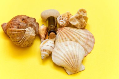 Tropikal arka plan. Deniz kabuklarını ve cam şişe sarı renkli şık modern moda arka plan üzerinde. Tatil seyahat yaz hafta sonu deniz macera seyahat kavramı