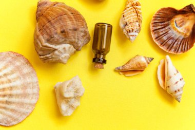 Tropikal arka plan. Deniz kabuklarını ve cam şişe sarı renkli şık modern moda arka plan üzerinde. Tatil seyahat yaz hafta sonu deniz macera seyahat kavramı