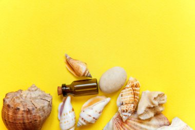 Tropikal arka plan. Deniz kabuklarını ve cam şişe sarı renkli şık modern moda arka plan üzerinde. Tatil seyahat yaz hafta sonu deniz macera seyahat kavramı