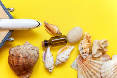 Tropikal arka plan. Deniz kabuklarını, minyatür oyuncak uçak ve cam şişe sarı renkli şık modern moda arka plan üzerinde. Tatil seyahat yaz hafta sonu deniz macera seyahat kavramı