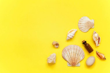 Tropikal arka plan. Deniz kabuklarını ve cam şişe sarı renkli şık modern moda arka plan üzerinde. Tatil seyahat yaz hafta sonu deniz macera seyahat kavramı