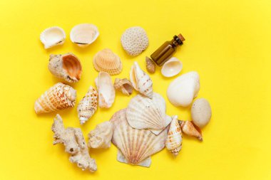 Tropikal arka plan. Deniz kabuklarını ve cam şişe sarı renkli şık modern moda arka plan üzerinde. Tatil seyahat yaz hafta sonu deniz macera seyahat kavramı