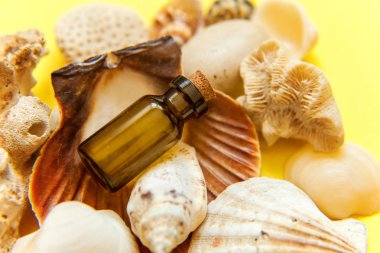 Tropikal arka plan. Deniz kabuklarını ve cam şişe sarı renkli şık modern moda arka plan üzerinde. Tatil seyahat yaz hafta sonu deniz macera seyahat kavramı