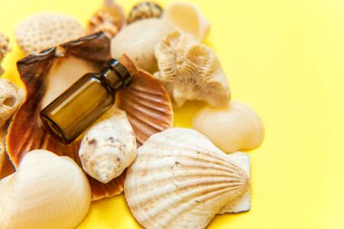 Tropikal arka plan. Deniz kabuklarını ve cam şişe sarı renkli şık modern moda arka plan üzerinde. Tatil seyahat yaz hafta sonu deniz macera seyahat kavramı