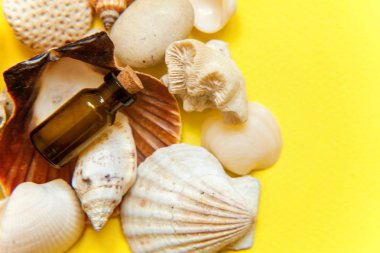 Tropikal arka plan. Deniz kabuklarını ve cam şişe sarı renkli şık modern moda arka plan üzerinde. Tatil seyahat yaz hafta sonu deniz macera seyahat kavramı