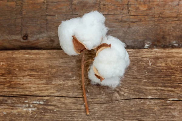 Güzel beyaz pamuklu çiçek rustik eski vintage ahşap düz yatıyordu zemin üzerine. Kumaş bez yumuşaklık doğal organik tarım Anti kavramı