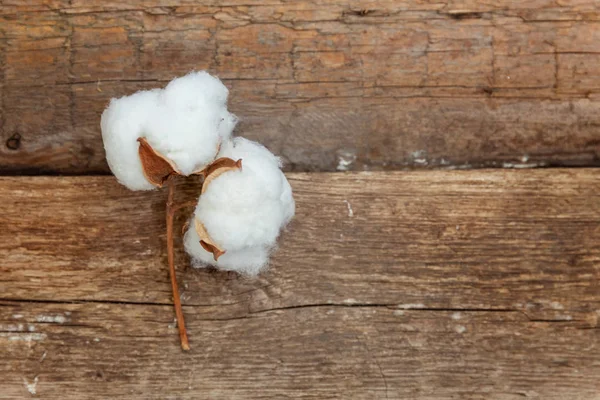 Güzel beyaz pamuklu çiçek rustik eski vintage ahşap düz yatıyordu zemin üzerine. Kumaş bez yumuşaklık doğal organik tarım Anti kavramı