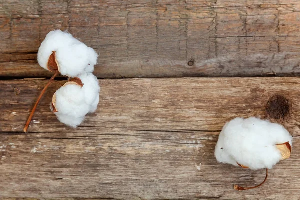 Güzel beyaz pamuklu çiçek rustik eski vintage ahşap düz yatıyordu zemin üzerine. Kumaş bez yumuşaklık doğal organik tarım Anti kavramı