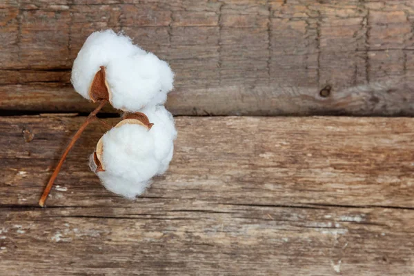 Güzel beyaz pamuklu çiçek rustik eski vintage ahşap düz yatıyordu zemin üzerine. Kumaş bez yumuşaklık doğal organik tarım Anti kavramı